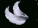 Wings Png 5 By Moonglowlilly On Deviantart  Wings Png intérieur Angel Wings Png