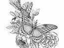 1001 + Idées De Dessin De Papillon Pour S'Inspirer Et avec La Symetrie Pappillon   Dessin