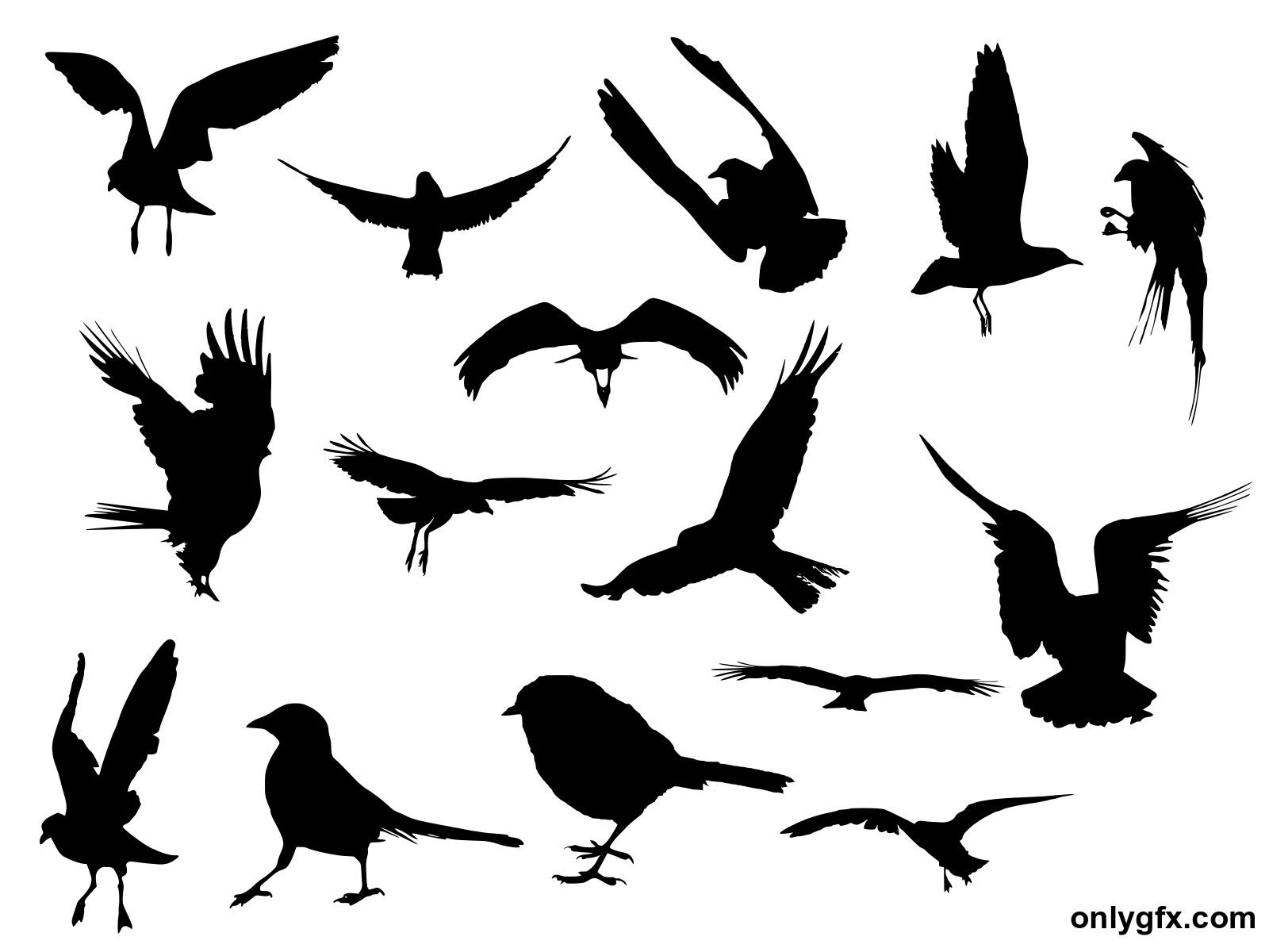 15 Bird Silhouette (Png Transparent)  Onlygfx pour Silouhette Oiseau Adecouper 