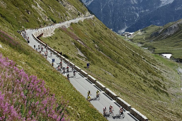 stelvio bike day