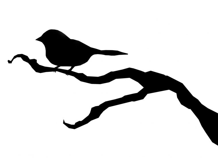 Bird Silhouette Wallpaper – Wallpapersafari serapportantà Silouhette Oiseau Adecouper