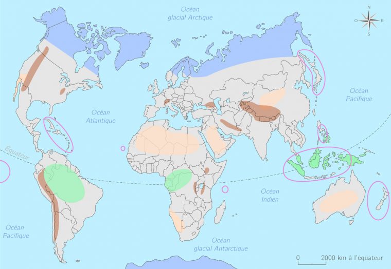 Carte Du Monde À Compléter En Ligne – Primanyc pour Remplir Carte Du Monde En Ligne Gratuit