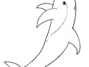 Coloriage Dauphins, Dessin Dauphins, Dauphins Coloriage N°4274 concernant Dessins De Dauphins Difficiles