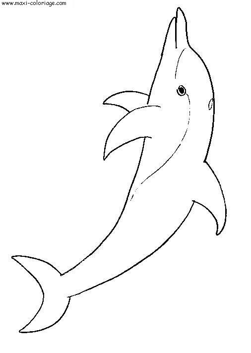 Coloriage Dauphins, Dessin Dauphins, Dauphins Coloriage N°4274 concernant Dessins De Dauphins Difficiles