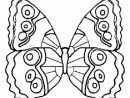 Coloriage Papillon 12 Sur Hugolescargot dedans La Symetrie Pappillon   Dessin