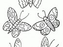 Coloriage Papillons 9 Sur Hugolescargot serapportantà La Symetrie Pappillon   Dessin