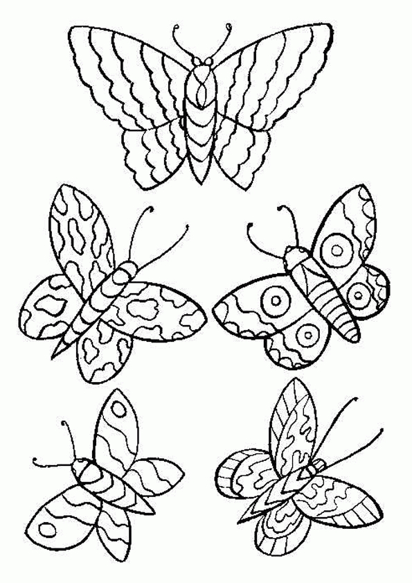 Coloriage Papillons 9 Sur Hugolescargot serapportantà La Symetrie Pappillon   Dessin 