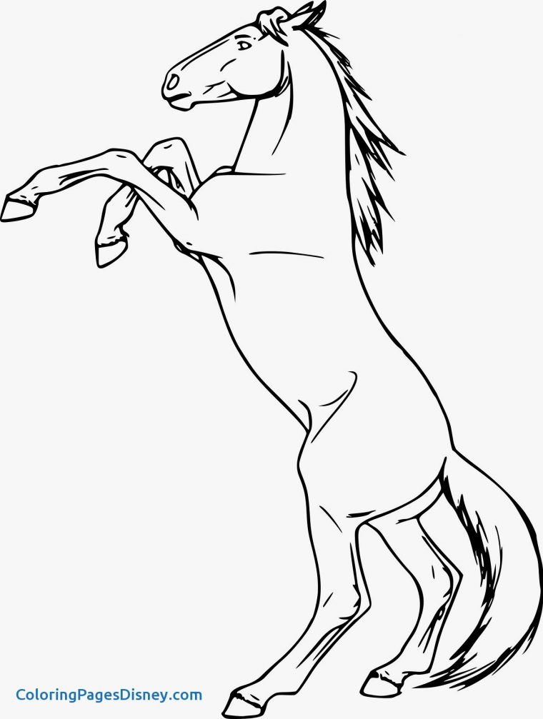 Coloriages À Imprimer : Cheval, Numéro : Cff324C serapportantà Dessins Cheval Facile