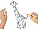 Comment Dessiner Une Girafe - destiné Comment Desiner Une Rosace Primanyc.com