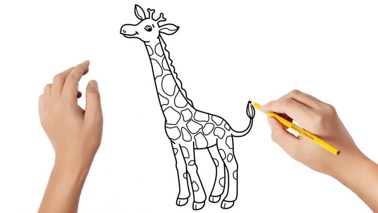 Comment Dessiner Une Girafe – destiné Comment Desiner Une Rosace Primanyc.com