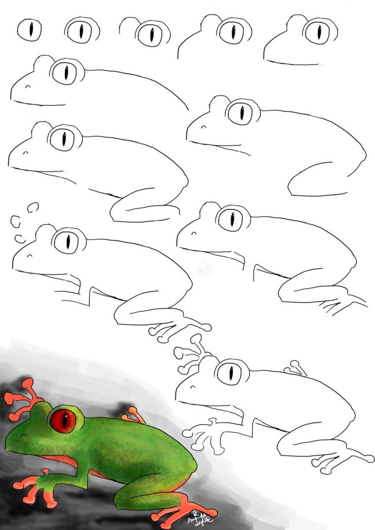 Comment Dessiner Une Grenouille Facile tout Dessiner Une Grenouille Tchou Team