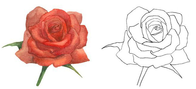 Comment Dessiner Une Rose Au Crayon - Cours De Dessin encequiconcerne Comment Desiner Une Rosace Primanyc.com