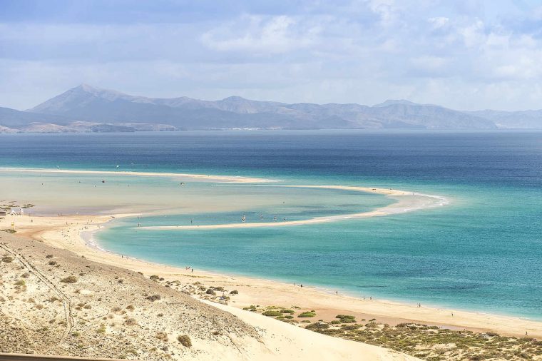 vögel auf fuerteventura