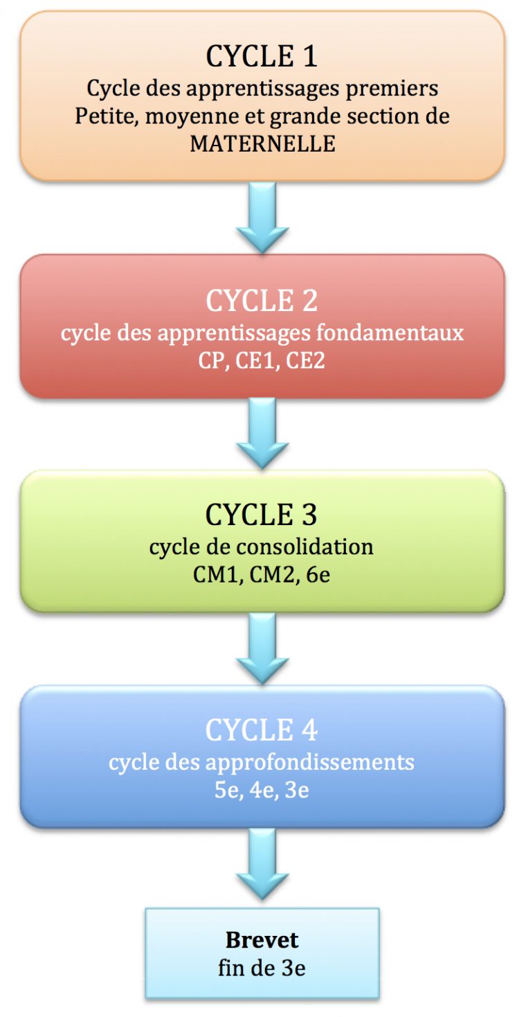 Cycles D'Enseignement À L'École Primaire Et Au Collège destiné Cycle 1 Le Cycle Du Tetard