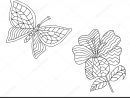 Dessin De Papillon, Zentangle. Arrière-Plan Vectoriel destiné La Symetrie Pappillon   Dessin