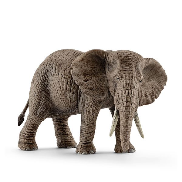 Éléphant D&amp;#039;Afrique Femelle Schleich : King Jouet concernant Femelle De L&amp;#039;Elephant 
