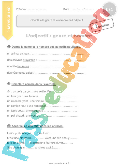 Exercice Accord De L&amp;#039;Adjectif Qualificatif : Ce1 - Cycle 2 serapportantà Jeu Accord De L&amp;amp;#039; Adjectif 