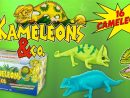 Kameleons &amp; Co Boite Complète De 16 Caméléons Pochettes concernant Sharks And Co Altaya