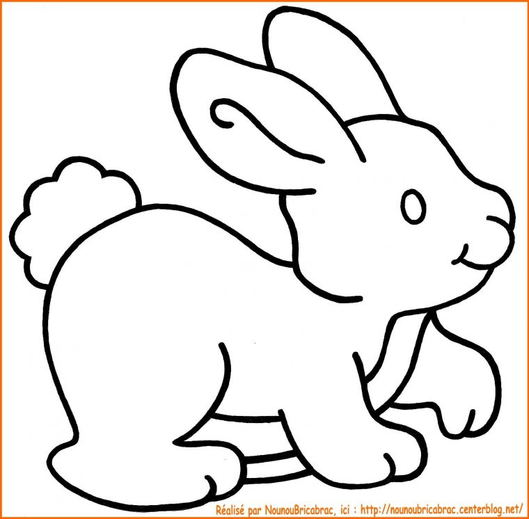 Lapin À Colorier – Dessin De Lapin Facile A Dessiner intérieur Dessin Fantastique Facile A  Faire Pour Imprimer Facilement