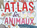 Le Blog D'Albin Michel Jeunesse: L'Atlas Des Animaux intérieur Livre Jeunesse Atlas Des Fleuves