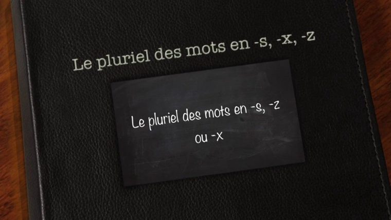 Le Pluriel Des Mots En -S, -X, -Z  Cards Against Humanity avec Ipotame Mots Flã©Chã©S Gratuits