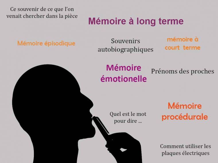 Les Clefs Pour Comprendre Les Différents Types De Mémoire tout Exercises De Memoire Alzheimer