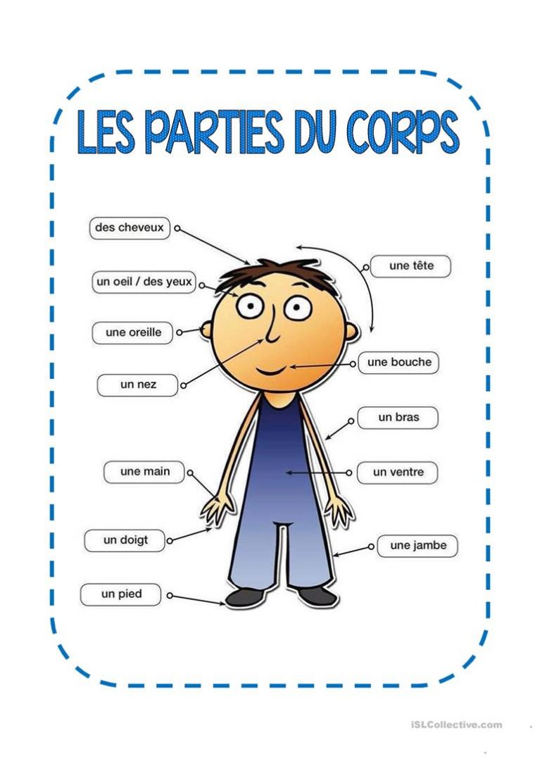 Les Parties Du Corps Fiche D'Exercices – Fiches dedans Les Parties Du Visage Maternelle Coloriage