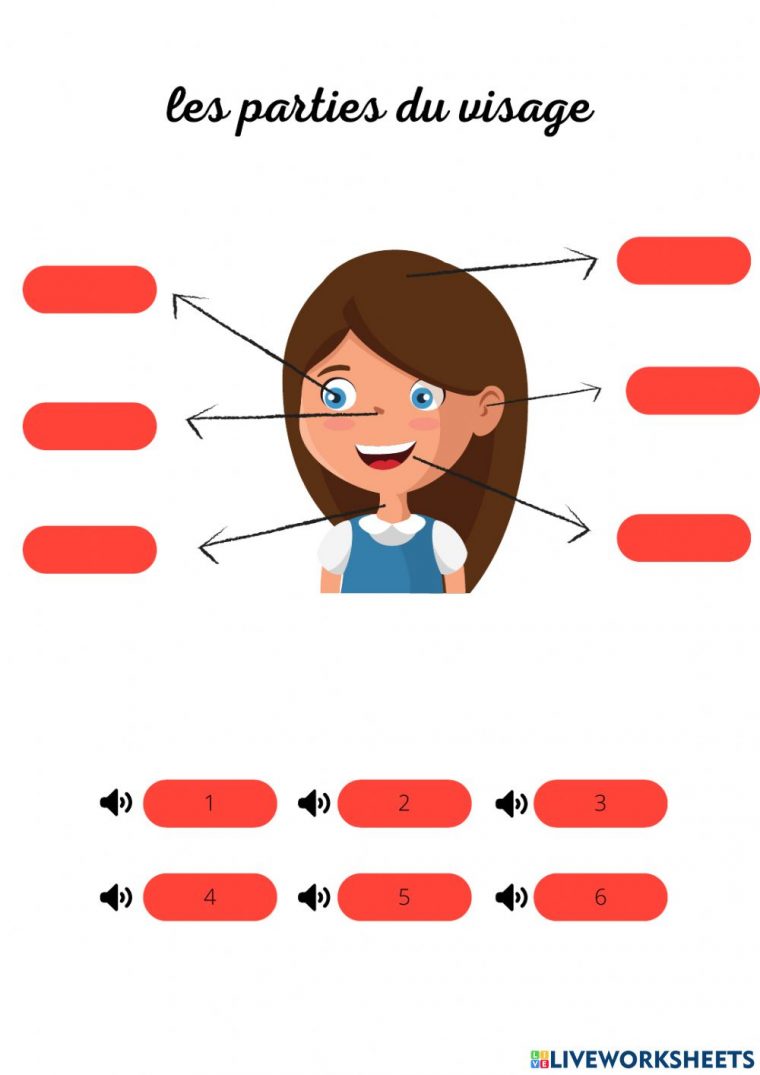 Les Parties Du Visage Exercise encequiconcerne Les Parties Du Visage Maternelle Coloriage