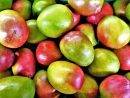 Mangue - Mouvement J'Aime Les Fruits Et Légumes avec J'Aime Les Fruits Pour Colourer