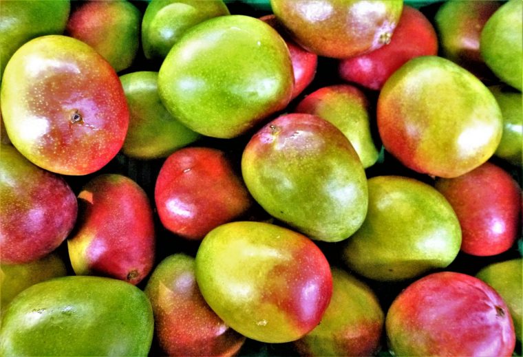 Mangue – Mouvement J'Aime Les Fruits Et Légumes avec J'Aime Les Fruits Pour Colourer