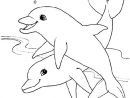 , Page 8 Sur 50 Sur Hugolescargot  Dolphin Coloring encequiconcerne Dessins De Dauphins Difficiles