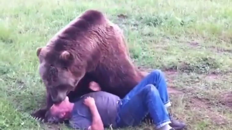 Quand Un Énorme Ours Brun Fait Un Câlin À Un Homme dedans Comment Hiverne Le Blaireau Et L'Ours. Brun