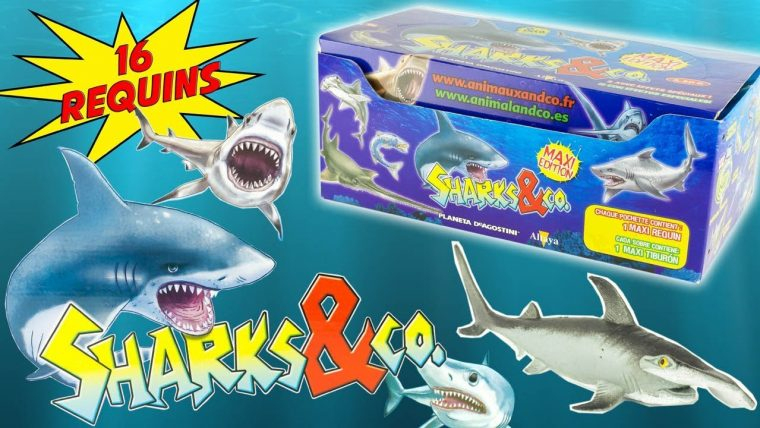 Sharks &amp;amp; Co Complete Collection 16 Sharks Blind Bags avec Sharks And Co Altaya 