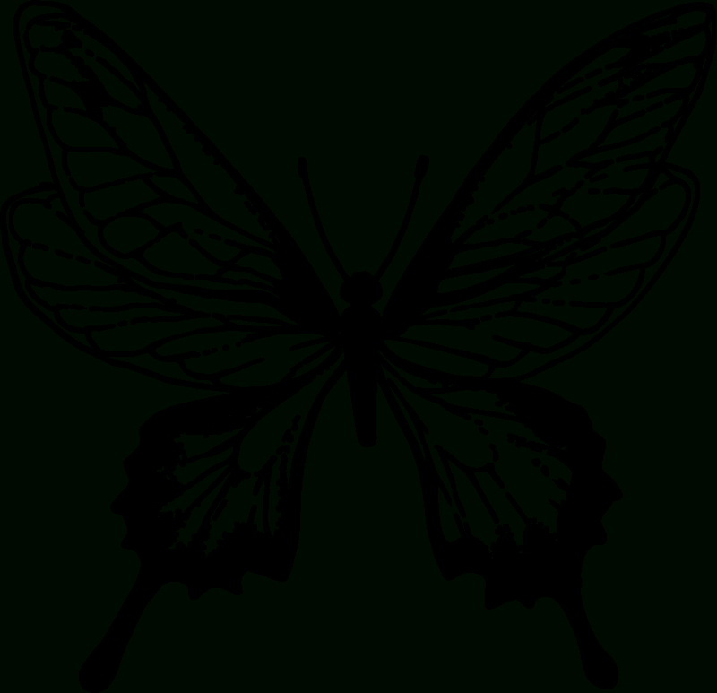 Sticker Maison Dessin Papillon - Tenstickers avec La Symetrie Pappillon   Dessin