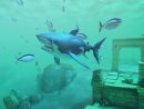 Technology Review: Google Daydream View - Business Traveller serapportantà Forum Blabla Hungry Shark