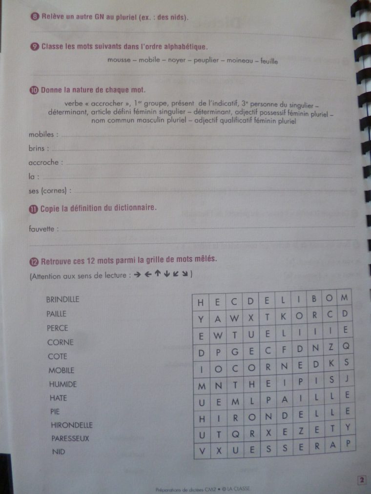 Une Année De Dictées – Éditions La Classe – Clémence destiné Grammaire Picot Annee 1 Ce1 Ce2 Chez Val 10