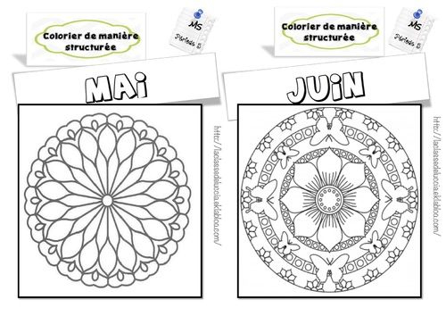 Vers L&amp;#039;Autonomie Ms - La Classe De Luccia à La Classe De Luccia Tangram 