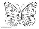 10 Beau De Coloriages À Imprimer Gratuit Images concernant Papillon Dessin A Colorier