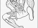 10 Modèles Coloriage Spiderman Gratuit Collection # avec Spiderman Coloriage