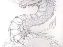 100 Idées De Dessins Dragon : Pour Apprendre À Dessiner Un dedans Apprendre A Dessiner Un Dragon