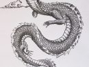 100 Idées De Dessins Dragon : Pour Apprendre À Dessiner Un destiné Apprendre A Dessiner Un Dragon