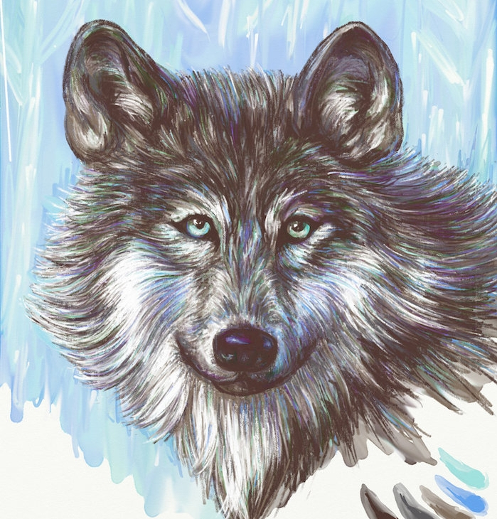 1001 + Astuces D&amp;#039;Artiste Pour Apprendre À Réaliser Un serapportantà Dessin De Loup 