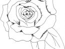 1001 + Modèles Et Conseils Pour Apprendre Comment Dessiner avec Fleurs A Dessiner Modele