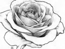 1001 + Modèles Et Conseils Pour Apprendre Comment Dessiner intérieur Dessiner Rose