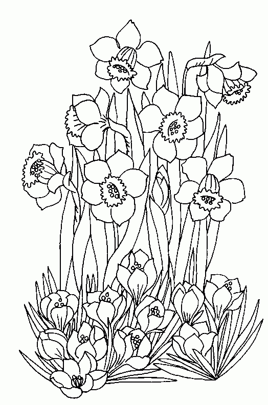 107 Dessins De Coloriage Plante À Imprimer à Dessin De Fleurs À Colorier 