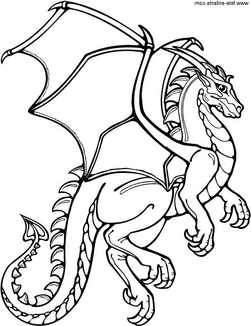 11 Cool De Dragons À Colorier Photographie  Раскраски pour Dragon À Colorier 