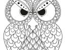 11 Ordinaire Coloriage Hibou Pictures  Owl Coloring Pages dedans Mandala Hibou