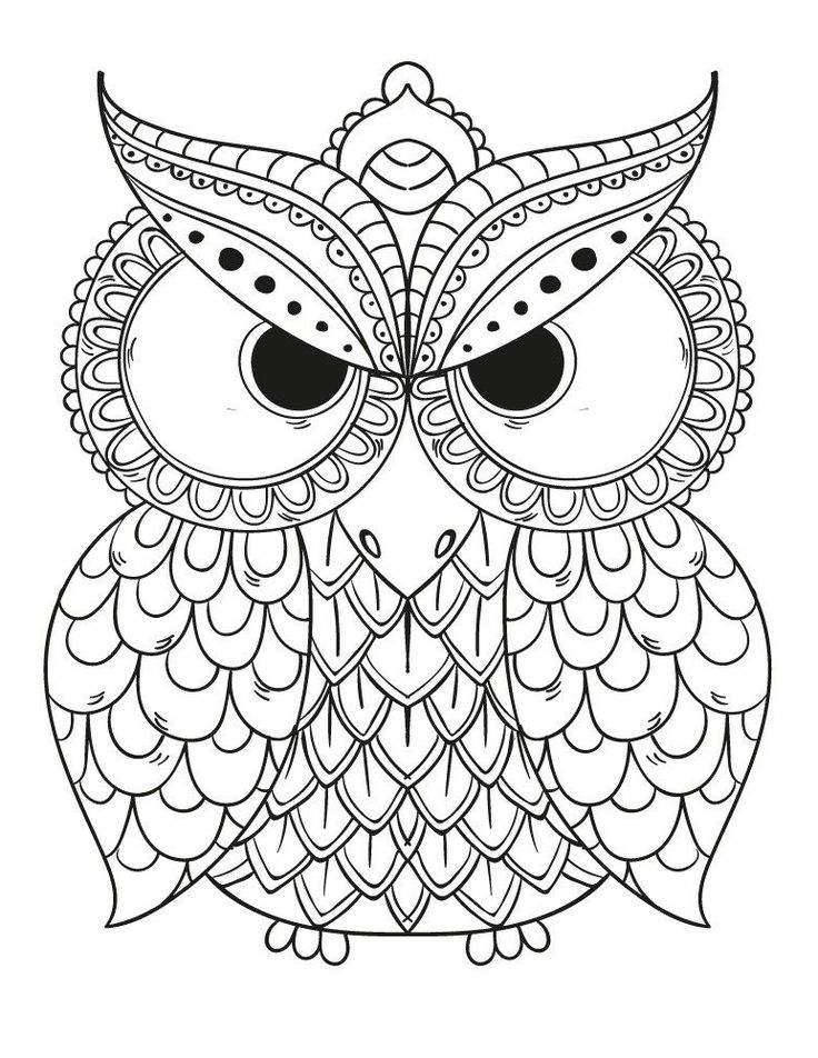 11 Ordinaire Coloriage Hibou Pictures  Owl Coloring Pages dedans Mandala Hibou 