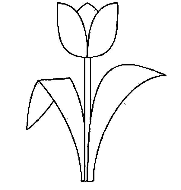 11 Pascher Dessin De Tulipe Collection  Flower Coloring concernant Tulipe Dessin 