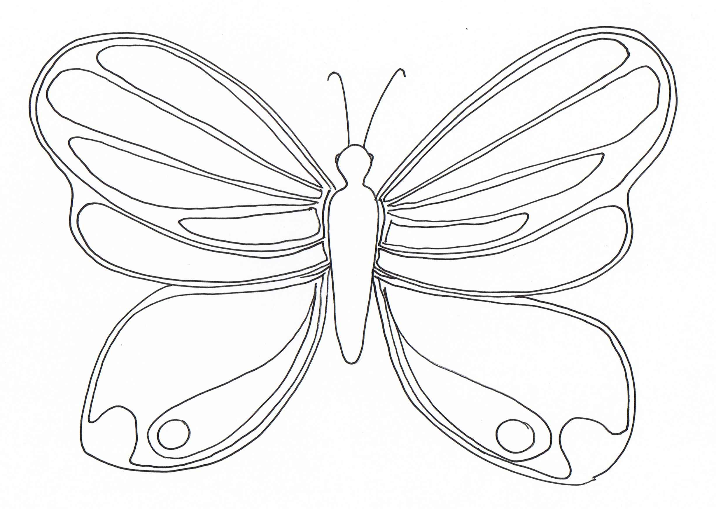 110 Dessins De Coloriage Papillon À Imprimer Sur Laguerche à Patron De Papillon À Imprimer